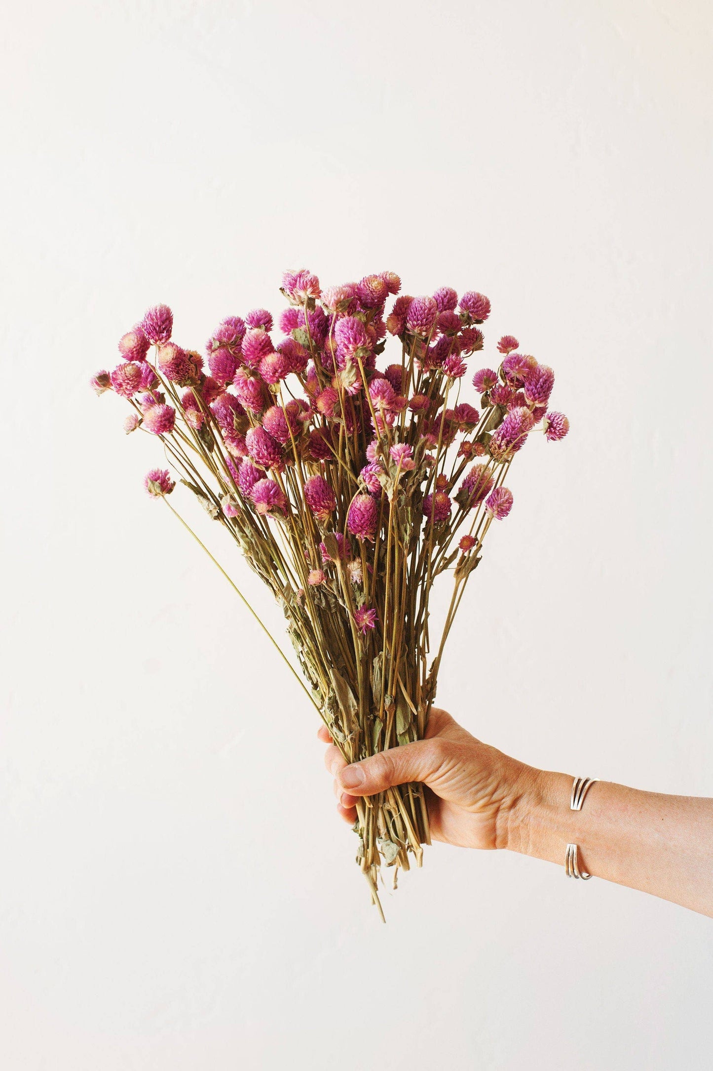 Fuschia Globe Amaranth