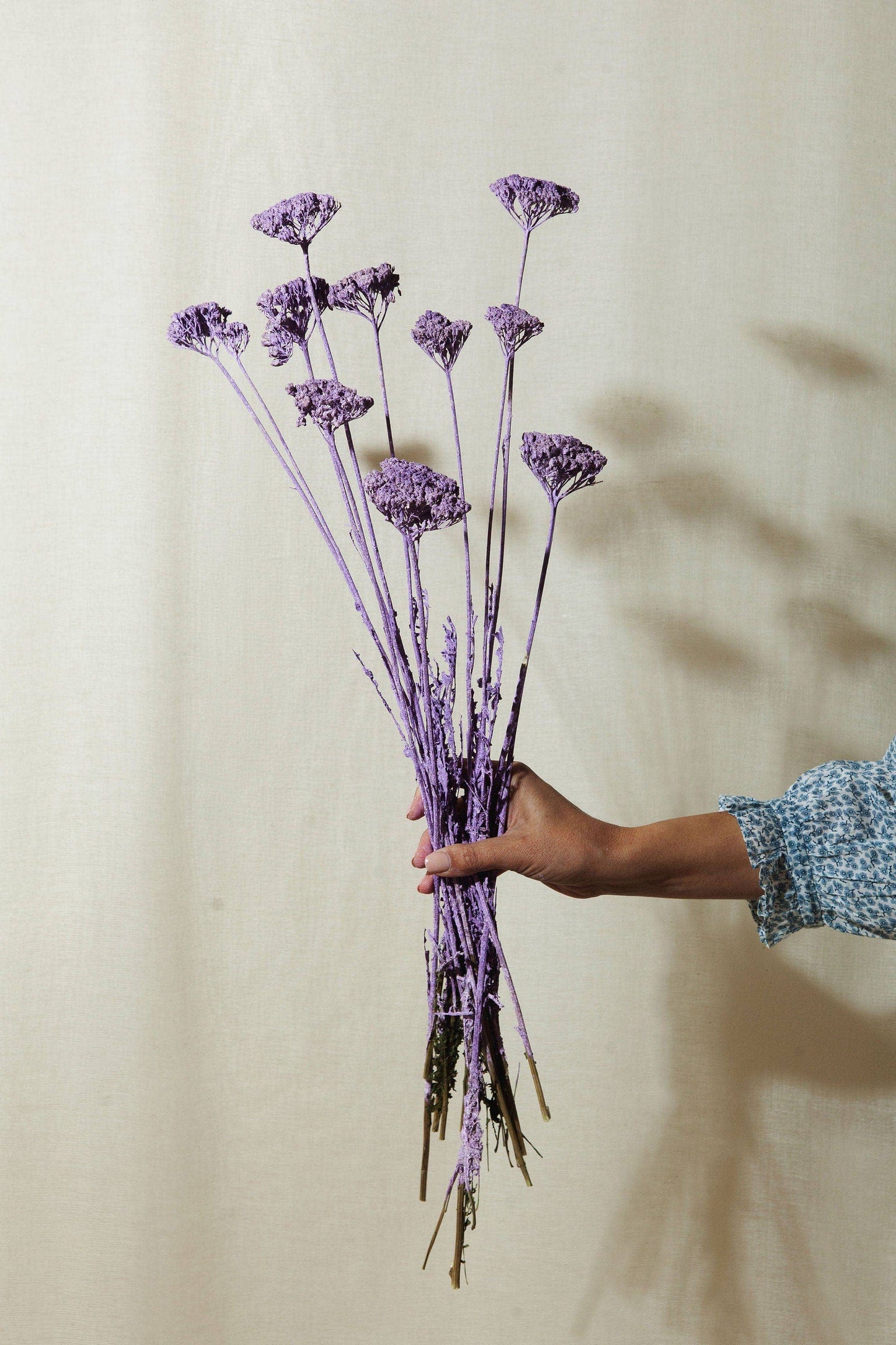Dried Lilac Yarrow