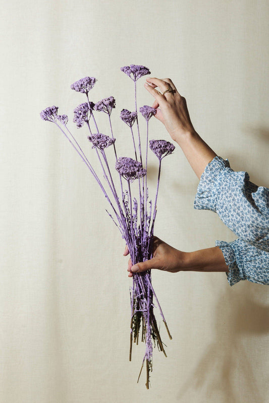 Dried Lilac Yarrow