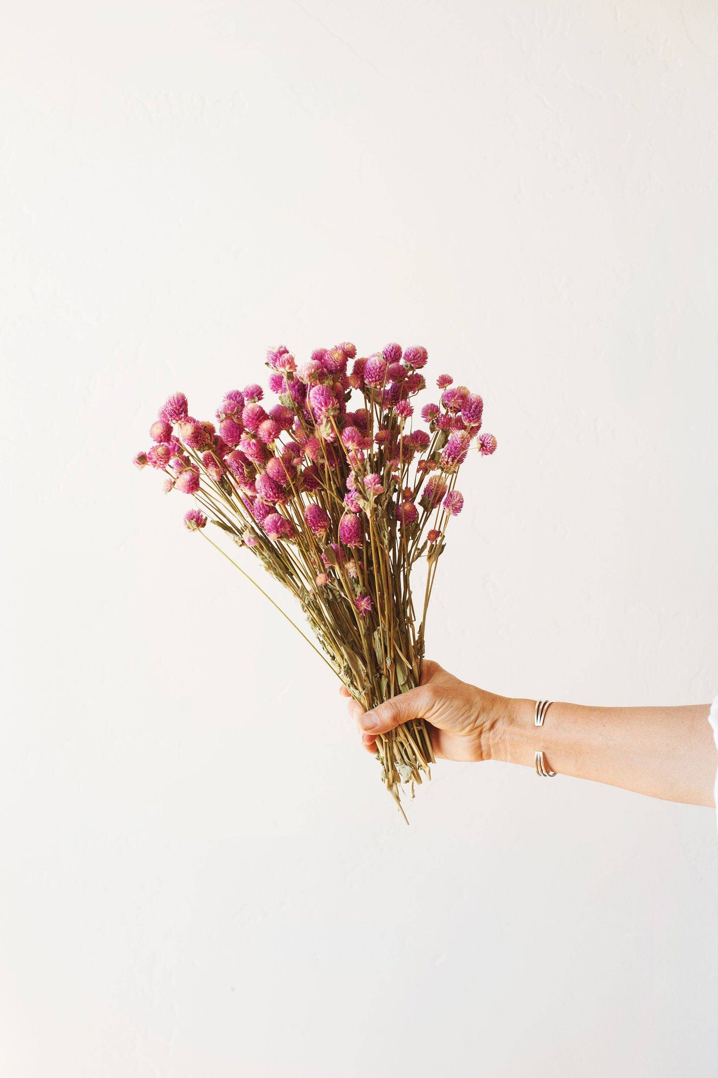 Fuschia Globe Amaranth