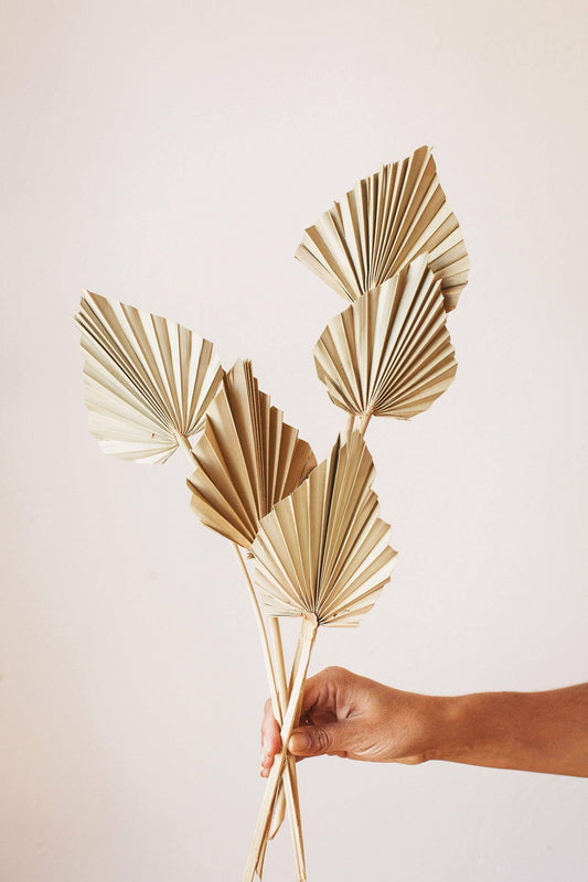 Natural Dried Spade Palm Fronds